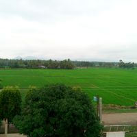 provincia di Davao del Sur