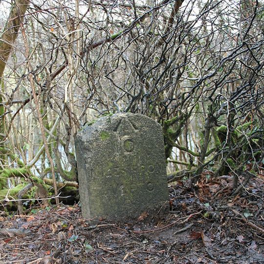 Milestone, Cowridge Bottom, above River Exe, 200m N of bends warning sign