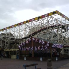 Wild Mouse