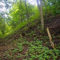 Burgwall Hohenbüssow