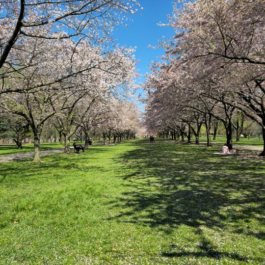 Centennial Arboretum