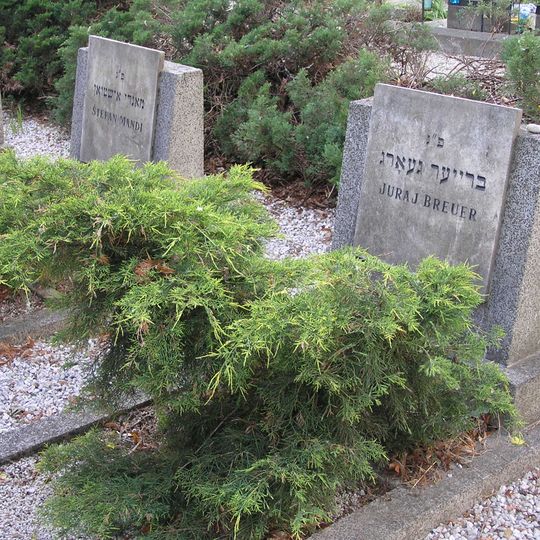 Hrob obetí holocaustu, hrob spoločný