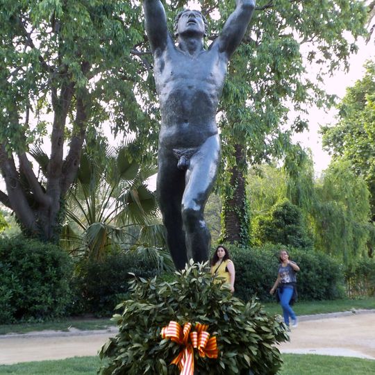 Als Voluntaris Catalans