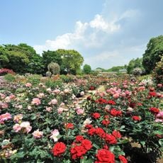 Fukuoka City Botanical Gardens