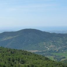 Puig d'en Cama