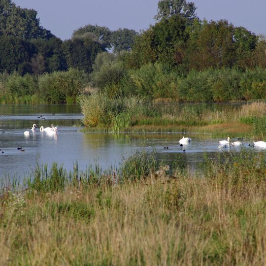 Schwäbisches Donaumoos