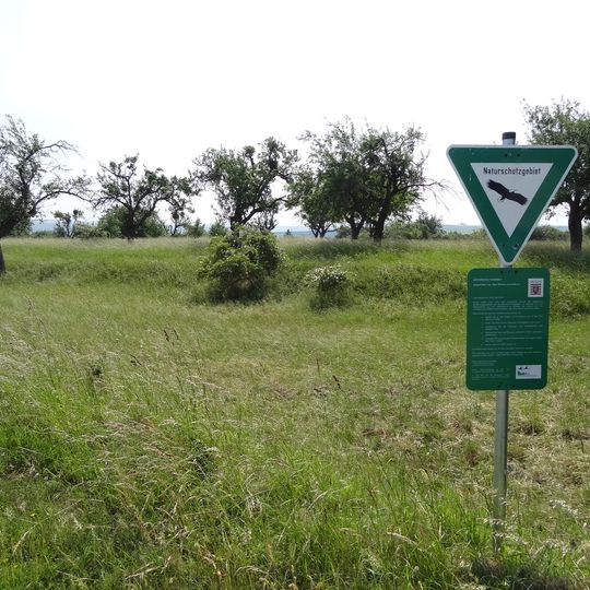 Naturschutzgebiet Magertriften von Ober-Mörlen und Ostheim