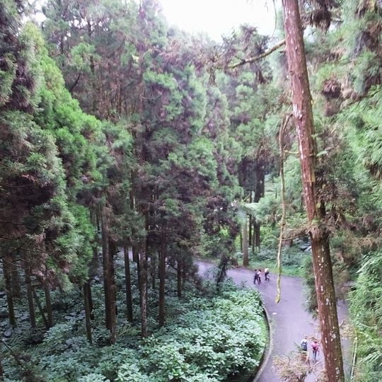 Xitou Nature Education Area
