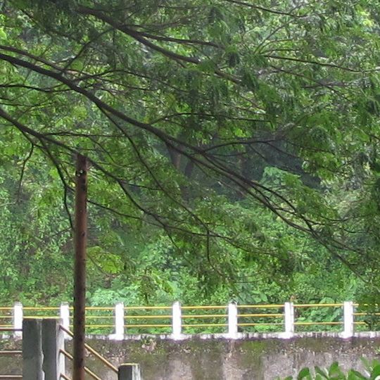 Sanctuaire faunique de Chimmony