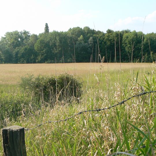 Tongrube Niederpleis