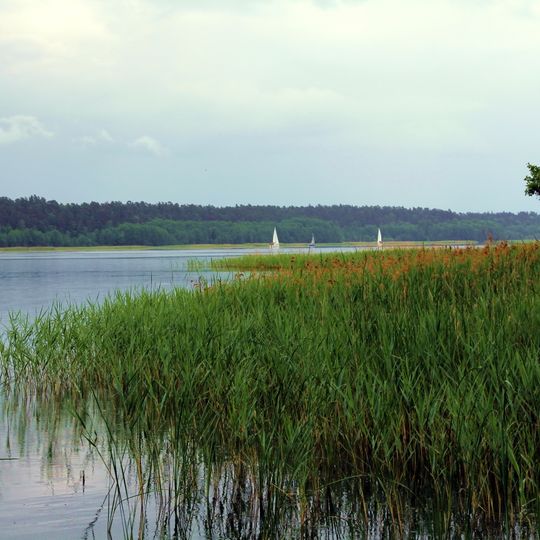 Rezerwat przyrody Jezioro Nidzkie