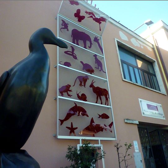 Museo civico di zoologia di Roma