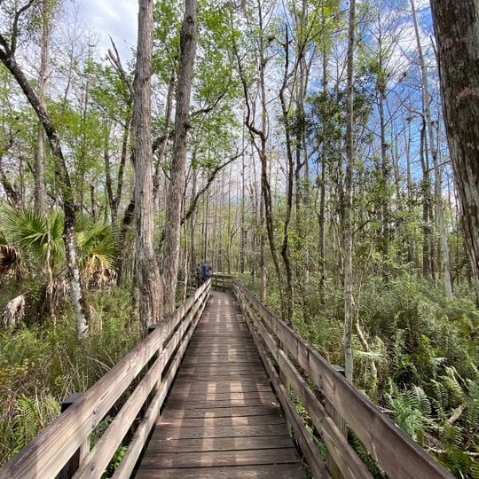 Six Mile Cypress Slough Preserve