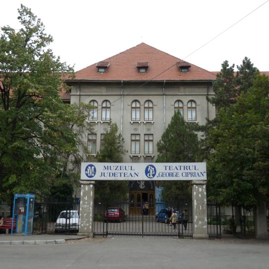 Buzau County Museum