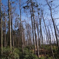Rezerwat przyrody Kąty Rybackie