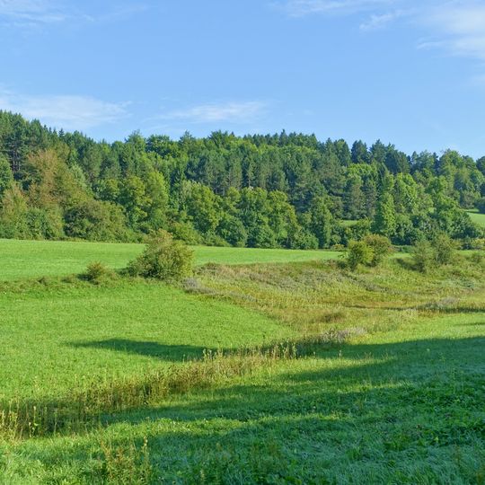 Braunhalden-Schlattboden