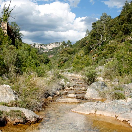 Molí del Salvat de Baix