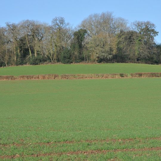 Llangibby Motte
