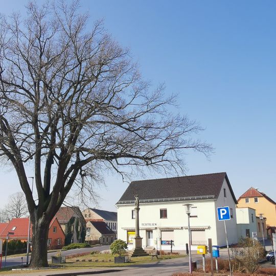 Naturdenkmal  Stieleiche Dresdener Straße; Flur 1, Flurstück 109/11 in Hohenleipisch