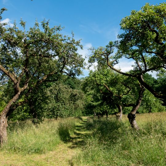 Biotopkomplex am Hiddeser Berg