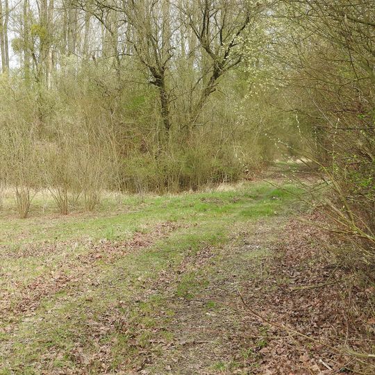 Sondernheimer Tongruben