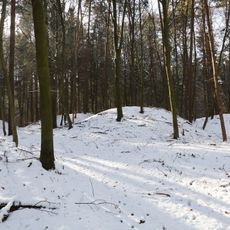 Barrow cemetery Ungerdorfer Wald