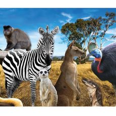 Zoodoo Wildlife Park