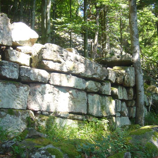 Enceinte protohistorique de la Frankenbourg