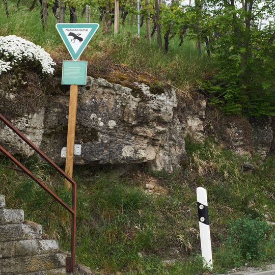 Aufschluß des Kieselsandsteins