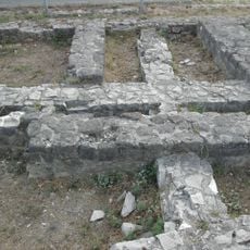 Cella trichora