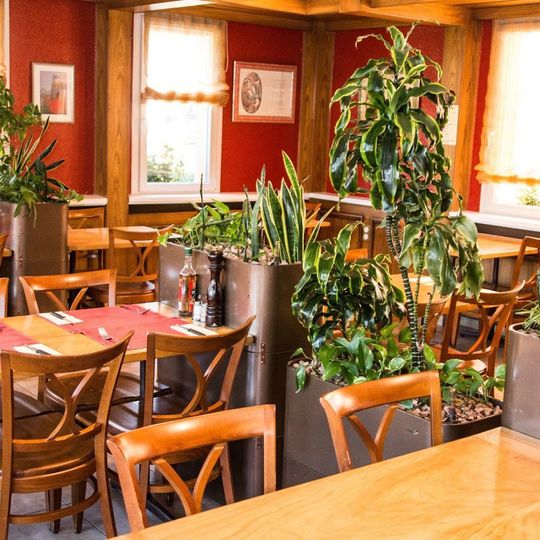Pizzeria du pont du Rhône
