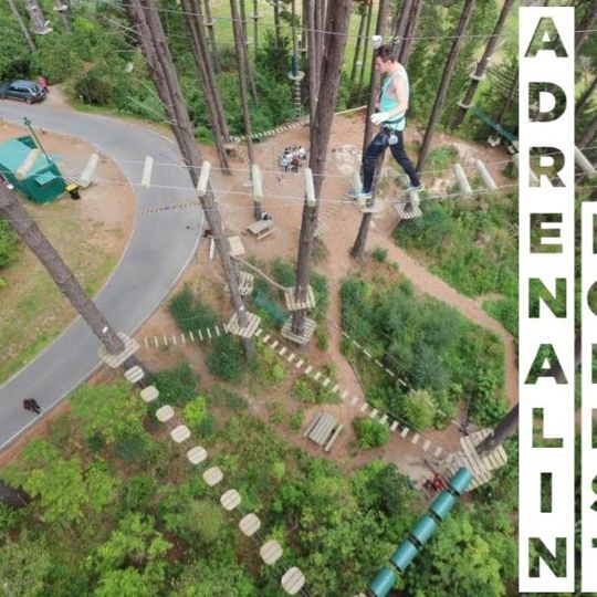 Adrenalin Forest Christchurch