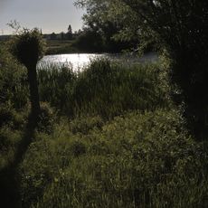 Talgrund entlang der Rittersbacher Straße und im Gebiet der Steigäcker