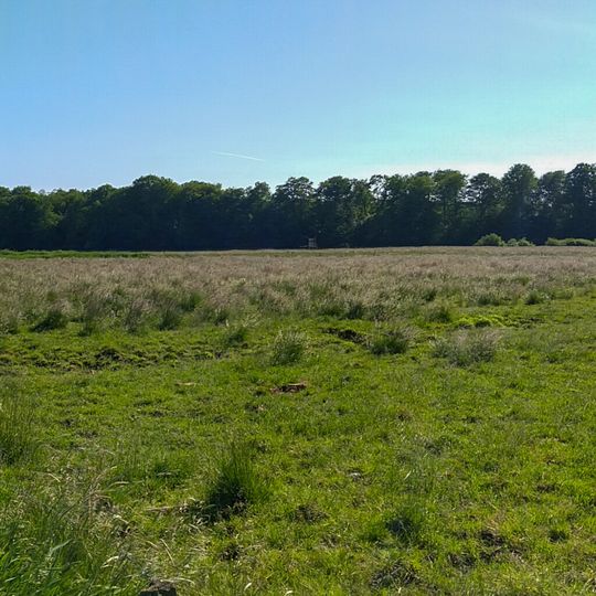 Wälder an der Bondenau