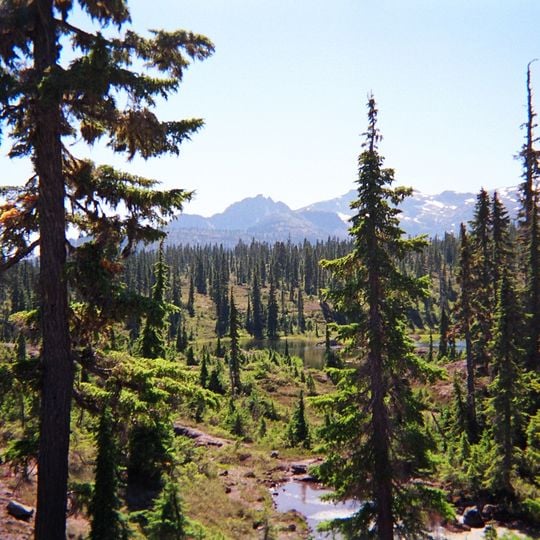 Forbidden Plateau