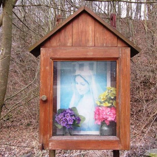 Obrázek Panny Marie v Dolech pod lesem