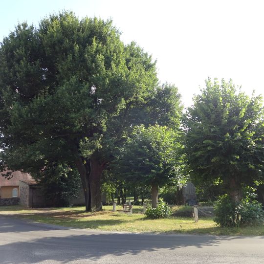 Naturdenkmal Stieleiche