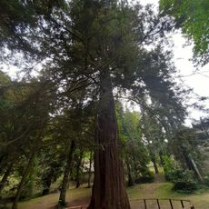 Museo forestale "Carlo Siemoni"