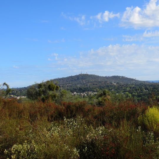 Cameron Park