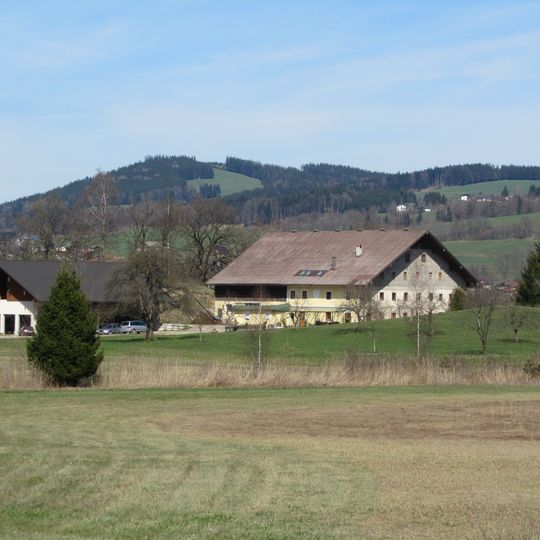 Ehem. Meierhof, Wildeneggergut samt Stadel