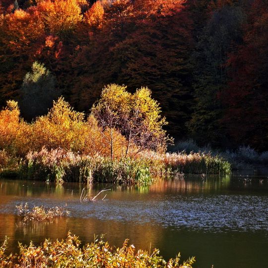 Специјален природен резерват Гоч