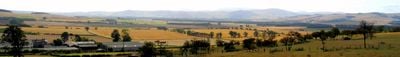Panoramic View 0
