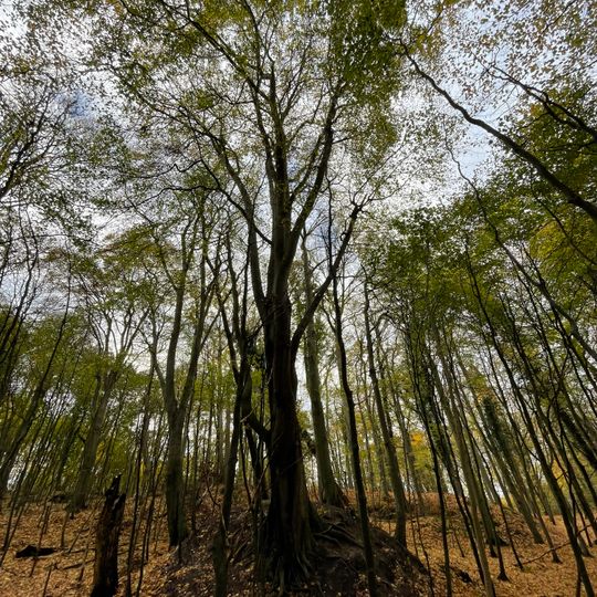 Hügelgrab Göhren‬