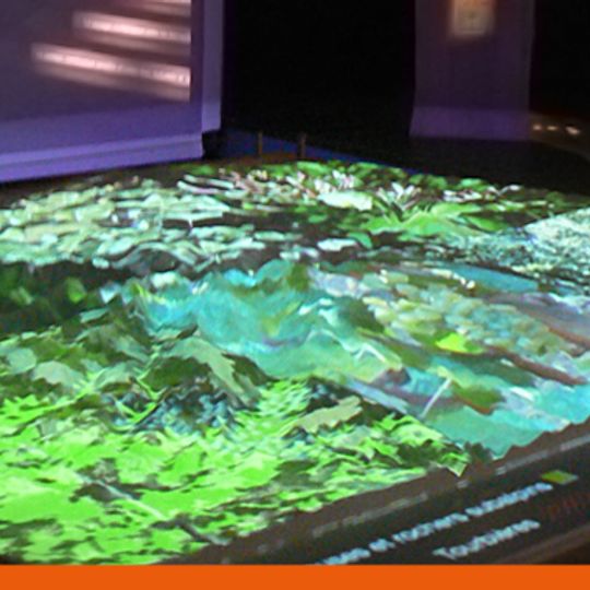 Maison de la Pinatelle