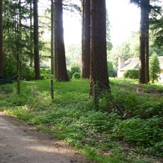 Terrein waarin vier grafheuvels