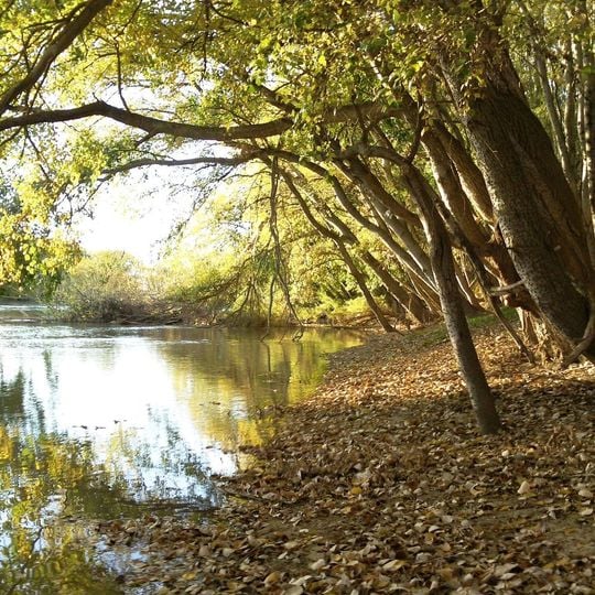 Parque del Agua Luis Buñuel