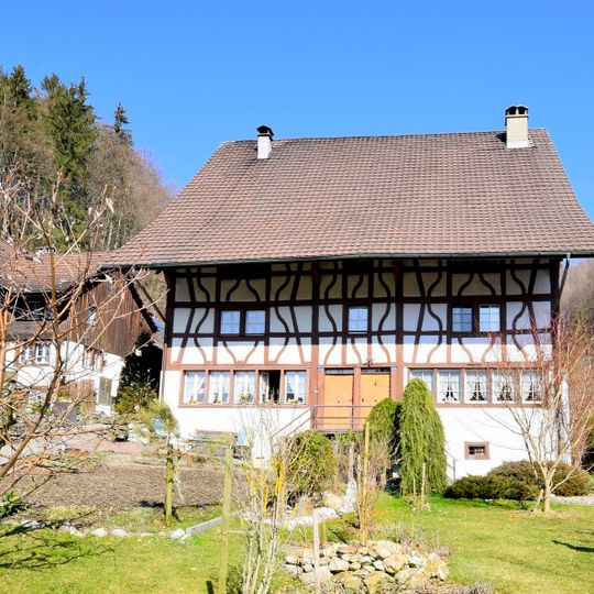 Alt-Landenberg, Doppelbauernhaus