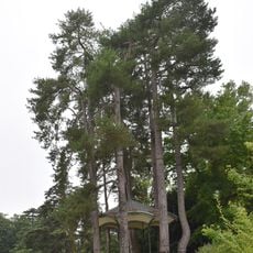 Bandstand of Jardin Massey
