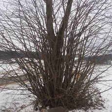 Kříž u Stachova při silnici na Soběchleby