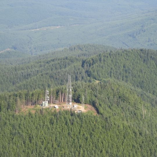 Tiger Mountain